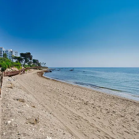 Beachfront Haven